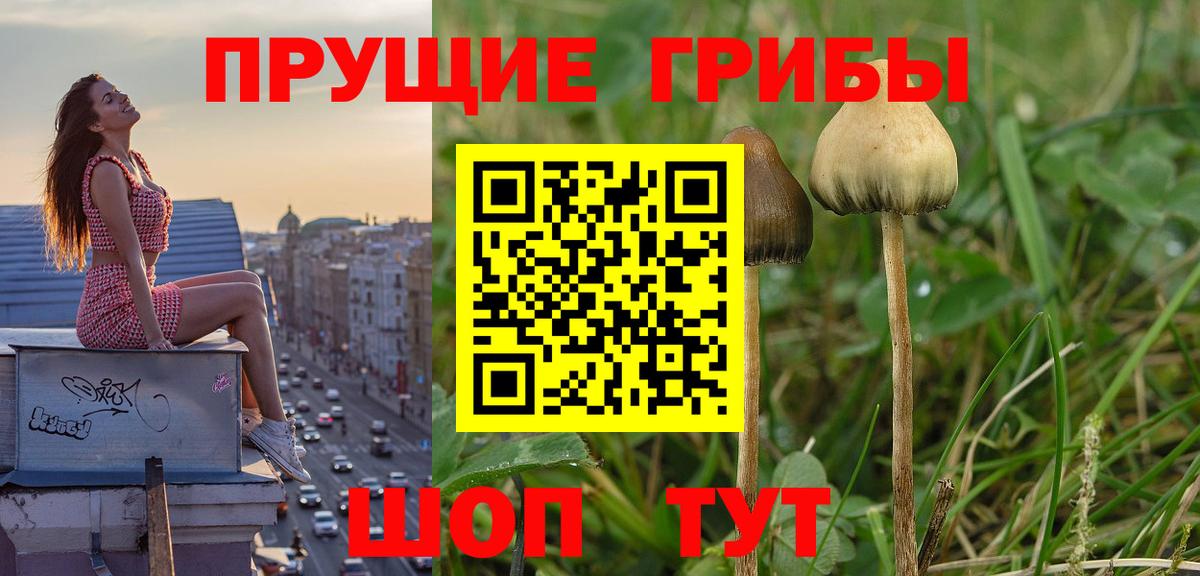 Галлюциногенные грибы мицелий Иваново