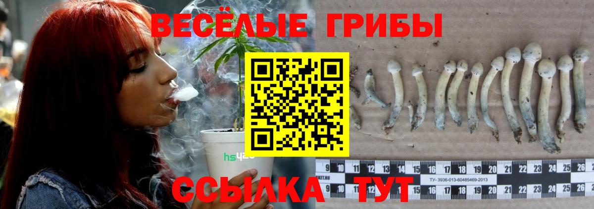 Иваново  Галлюциногенные грибы MAGIC MUSHROOMS  Вход с VPN  Галлюциногенные грибы прущие грибы 